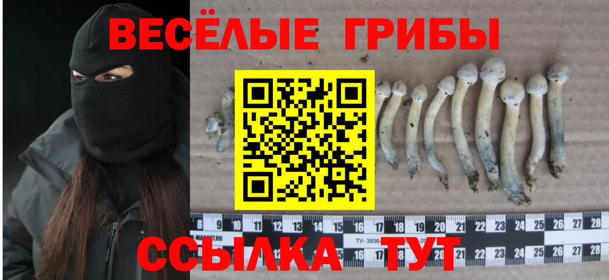 Галлюциногенные грибы GOLDEN TEACHER Белореченск